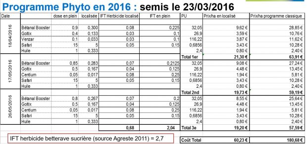 Baisse de l'IFT de 66% grâce à la bineuse et au traitements phyto localisés