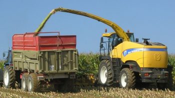 Ensilage: sur la même longueur de coupe