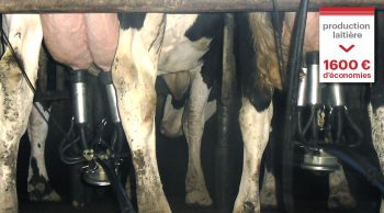 [anti-crise] Réduire sa production laitière contre indemnité