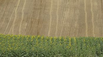 Moiss-batt’ guidées par GPS