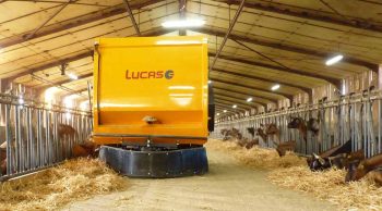 Lucas G développe un robot d’alimentation