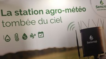 Une station météo à 300 €, l’agriculture connectée pour pas cher