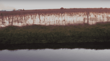 Dans l’Hérault, la cuma noie les vignes…