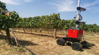 De nouvelles opportunités pour la vigne