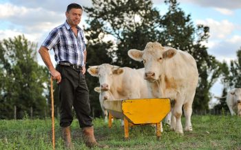 Année noire pour l’agriculture: les revenus des agriculteurs amputés d’un quart