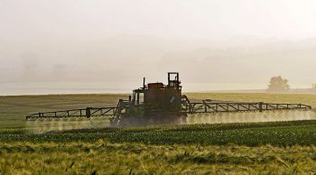 Pesticides: le Conseil d’Etat remet en question les certificats d’économie