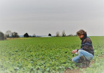 Un tuto pour l’agroécologie