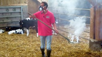 Une «claque» aux maladies respiratoires bovines