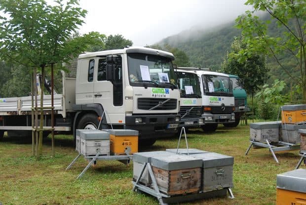 ruches-palettes-camion-grues