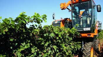 Top 5: les articles sur la vigne à ne pas rater en 2016