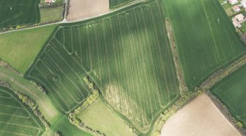 La loi contre l’accaparement des terres agricoles votée à l’Assemblée et au Sénat