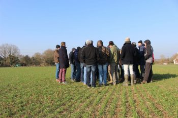 Passage à l’action : Bâtir des objectifs en mettant en pratique l’agriculture de conservation