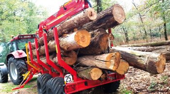 Rabaud élargit sa gamme d’équipements pour le bois