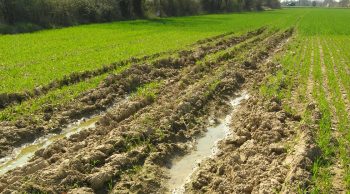 Des leviers pour limiter le tassement du sol