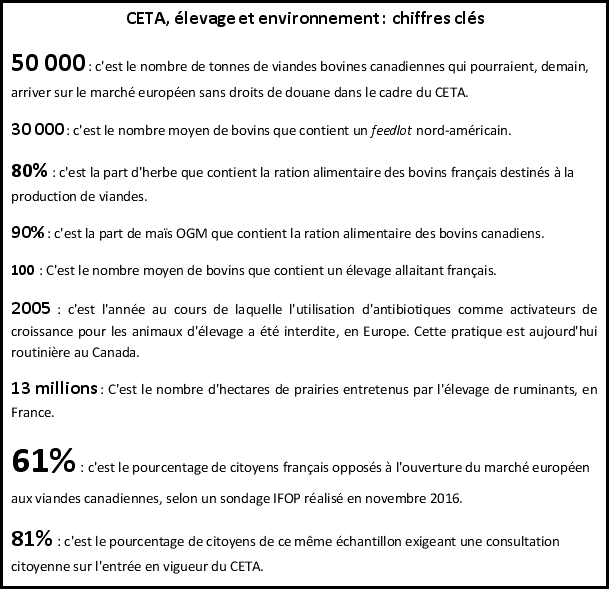 chiffres-clé élevages bovins viande