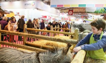 Au Salon de l’agriculture, Hollande retrouve un monde paysan découragé