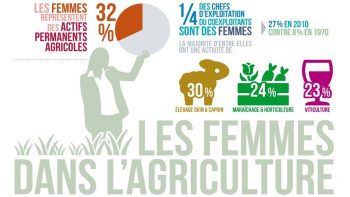 Les femmes dans l’agriculture en quelques chiffres