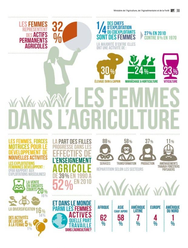 infographie femmes dans agriculture