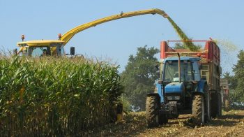 L’exploitation agricole en cuma est-elle «multiperformante»?