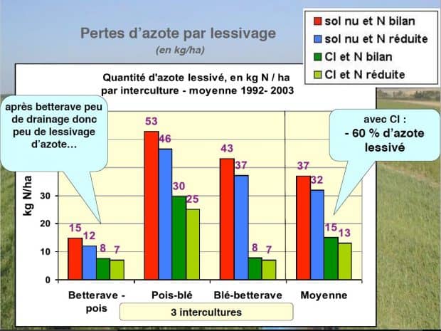 perte d'azote par lessivage