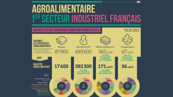 L’excédent agro-alimentaire français à son plus bas niveau depuis 1994