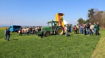 L’herbe, richesse du Forez