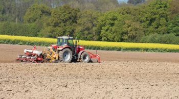 [En direct des semis] Ils combinent labour et TCS