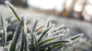 Catastrophes météos : gel, sécheresse, grêle… encore une année difficile ?