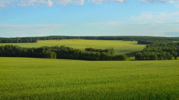 Débordés par le succès, les agriculteurs bio se tournent vers le gouvernement