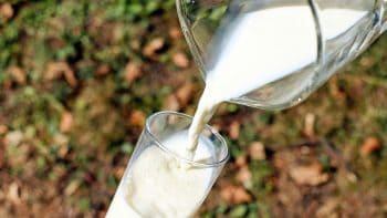 Bretagne: les producteurs de lait réclament de meilleurs prix