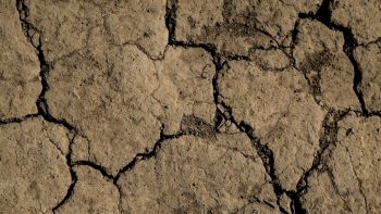 Chaleur probable cet été, sécheresse des sols localisée
