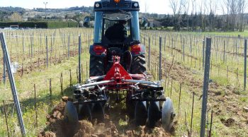 Quivogne: un cover-crop viticole modulable