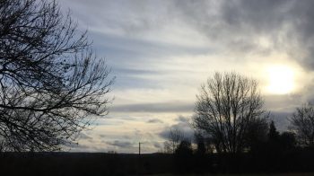 Changement climatique : merci la forêt française