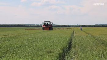 Ecimeuses Bionalan et Breton en démo