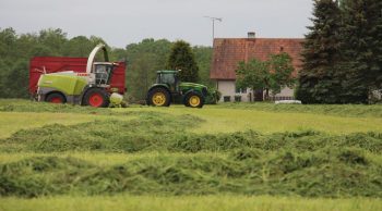 [En direct de suède] Un ensilage bio sous tension pour 450 laitières