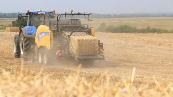 [Foncier] Tous les agriculteurs n’ont pas les mêmes droits