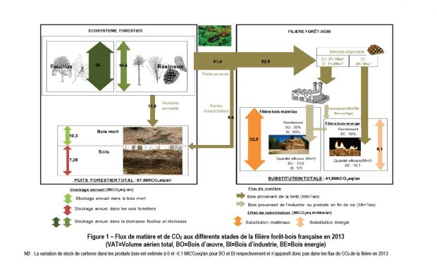 ges forêt française CC