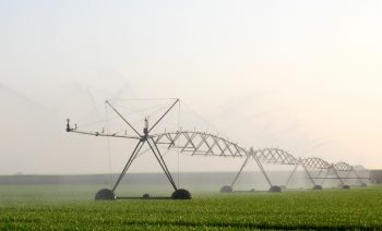 Comment bien choisir et acheter son matériel d’irrigation ?