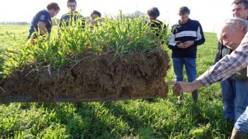 Pas de prairies sans sols vivants