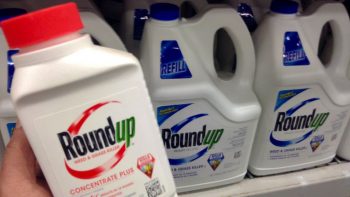 Un million de signatures contre le glyphosate