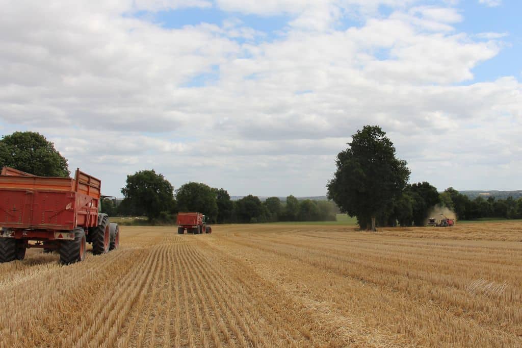 Broyage-de-paille-moisson-2017-sarthe-cuma-de-tennie-claas-jaguar-fendt-triticale-aviculture-volaille-paillage-lot-de-dinde-chantier-ensilage-remorques