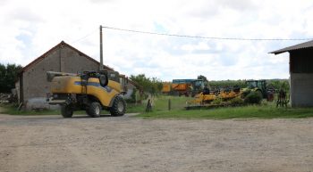 Moisson dans l’Allier : de mauvaises surprises en blé