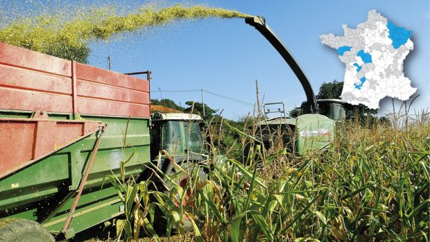 chantier ensilage maïs Arvalis Entraid Partenariat cartes prévisionnelles