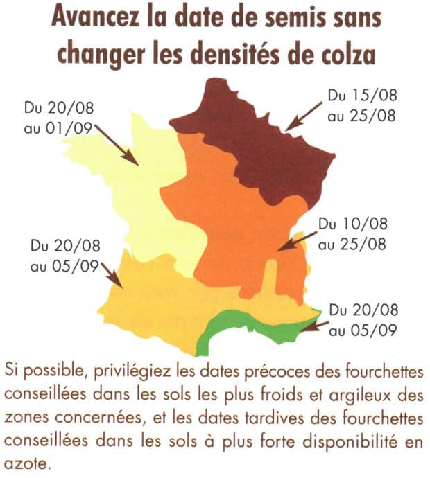 Carte des semis de colza associé éditée par Terres Inovia