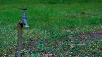 Sécheresse: le Nord et le Pas-de-Calais limitent la consommation d’eau