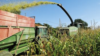 Maïs ensilage 2017 : Évitez la catastrophe et récoltez au bon stade