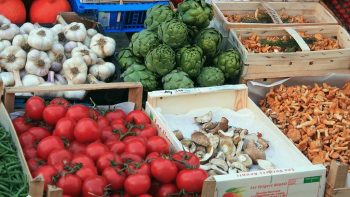 Etats généraux de l’alimentation : réconcilier une filière éclatée