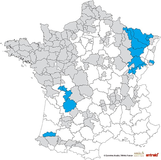  mais-ensilage-date-debut-recolte-2017-15-18aout