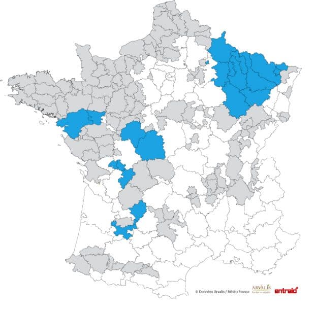 date debut ensilage prevue entre 19 et 22 aout