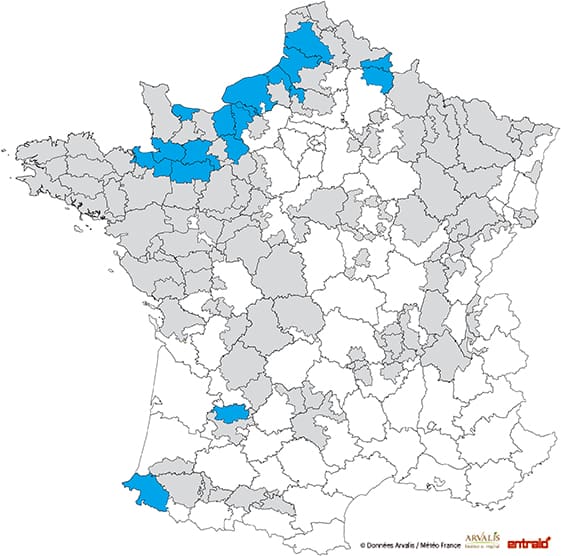 mais-ensilage-date-debut-recolte-2017-27-30aout